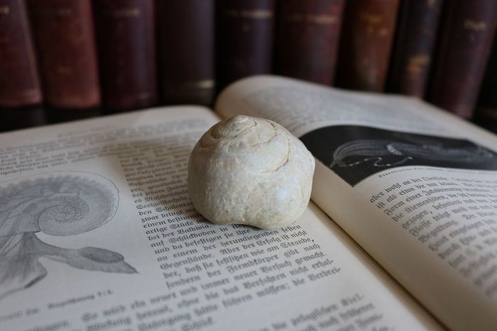 Literatur über Steine und deren Verwendung